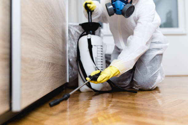 Best Insect Control  in Evansville, WY