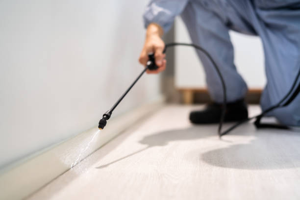 Professional Pest Control in Evansville, WY
