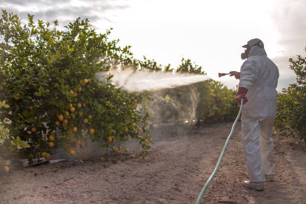 Pest Control Cost in Evansville, WY