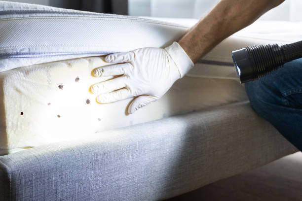 Best Pest Control Near Me in Evansville, WY