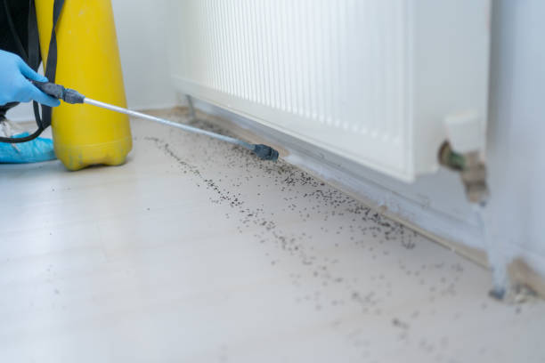 Best Residential Pest Control  in Evansville, WY