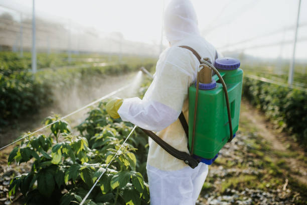 Best Local Pest Control Services  in Evansville, WY
